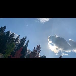 Meet your Posher, Cherine